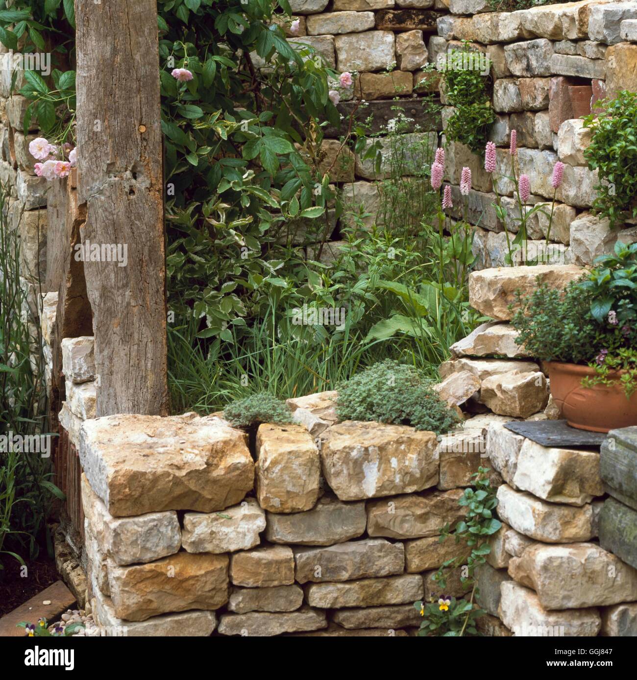 Hof-bepflanzt mit Kräutern-- (bitte Kredit: Fotos Hort/Designer Cheryl Waller) CTY111459 Stockfoto