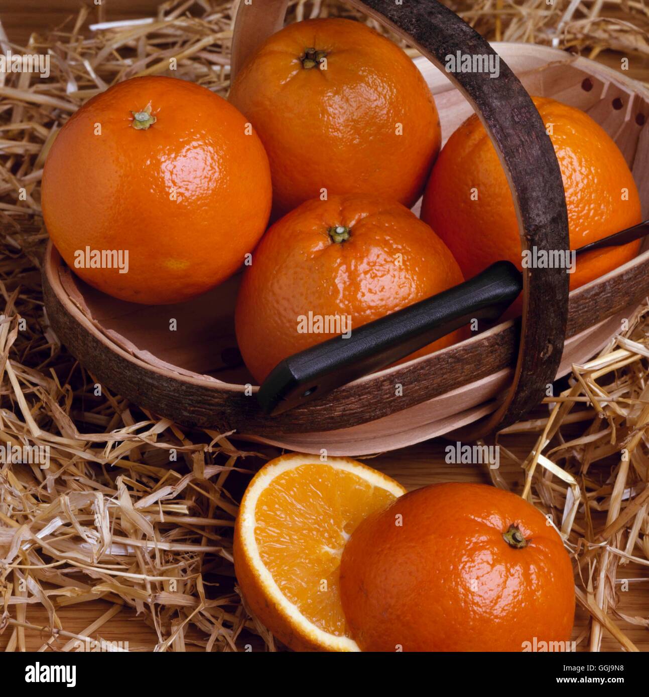 Orange - Nabel - "Washington" (Citrus Sinensis) FRU073243 Stockfoto
