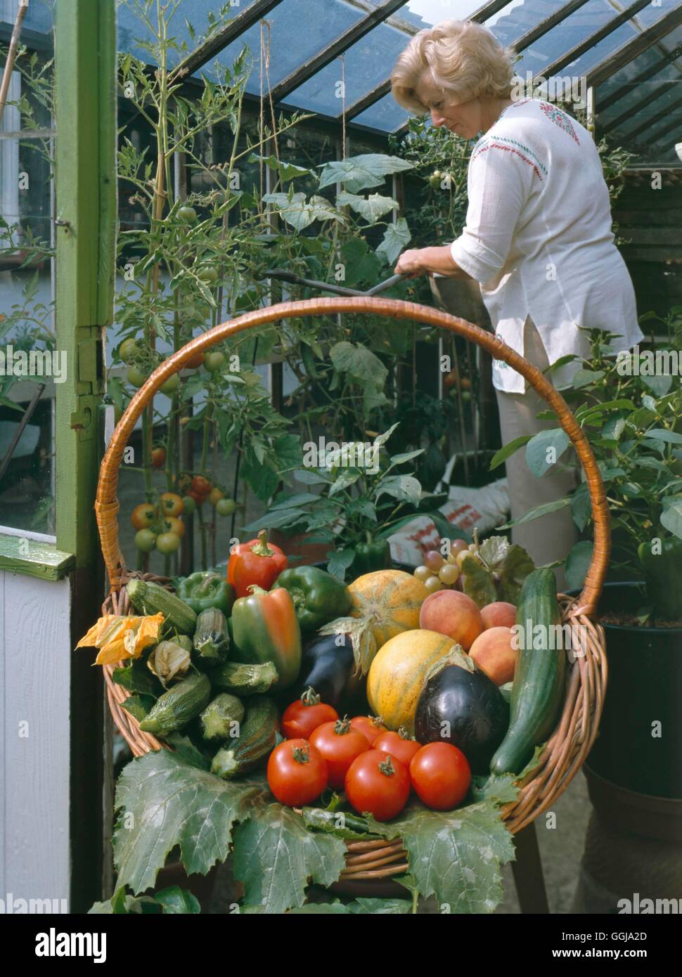 Obst und Gemüse-Kollektion - mit Paprika Zucchini Tomaten Auberginen Gurke Pfirsiche Melonen und Trauben Ref: PHS Stockfoto