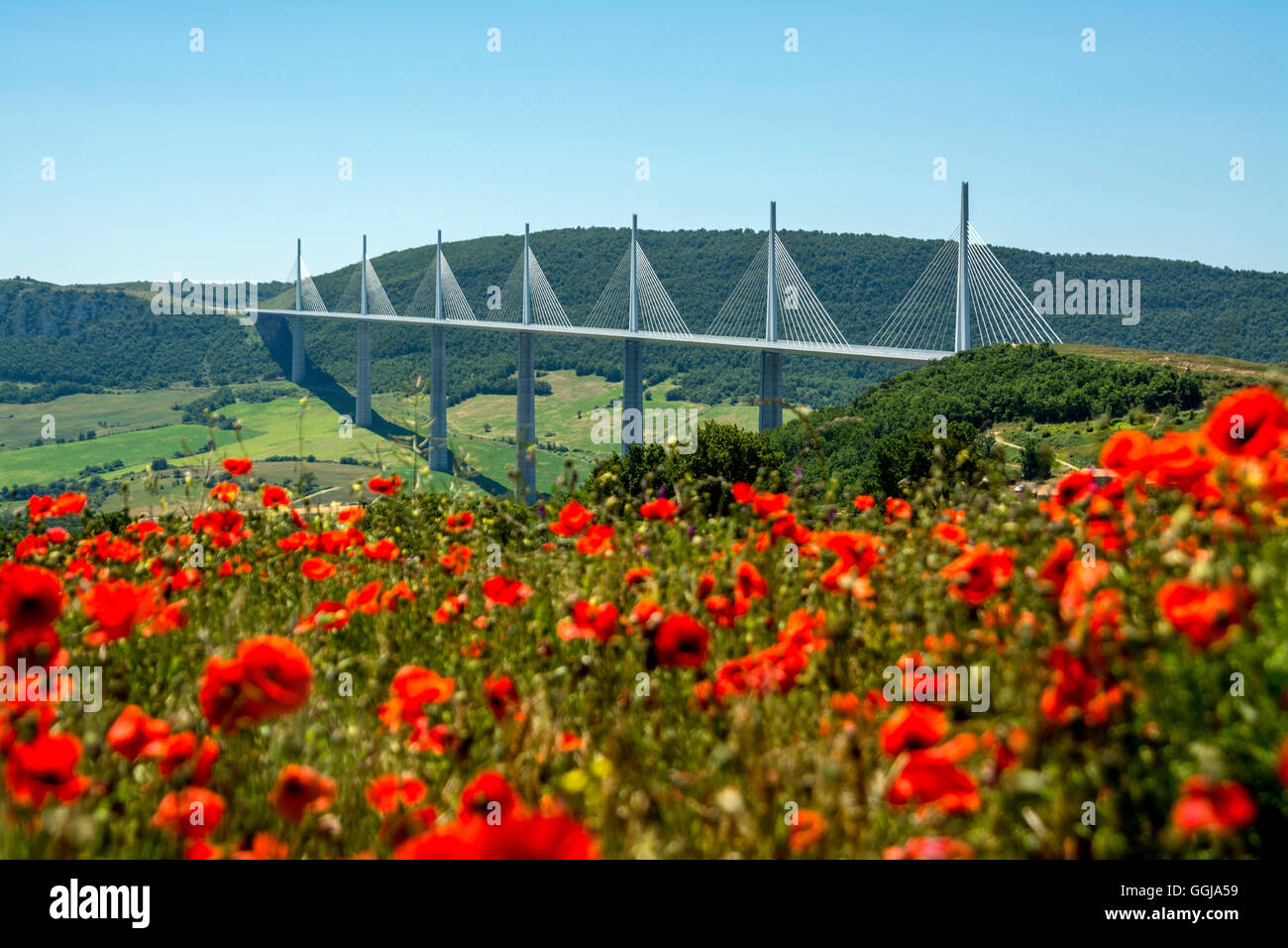 Viadukt von Millau über dem Fluss Tarn, natürlicher Regionalpark von Grands Causses, Viadukt von Millau, Departement Aveyron, Occitanie, Frankreich Stockfoto