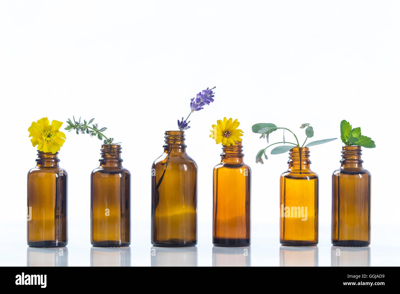 ätherische Öle und medizinische Blumen Kräuter Stockfoto