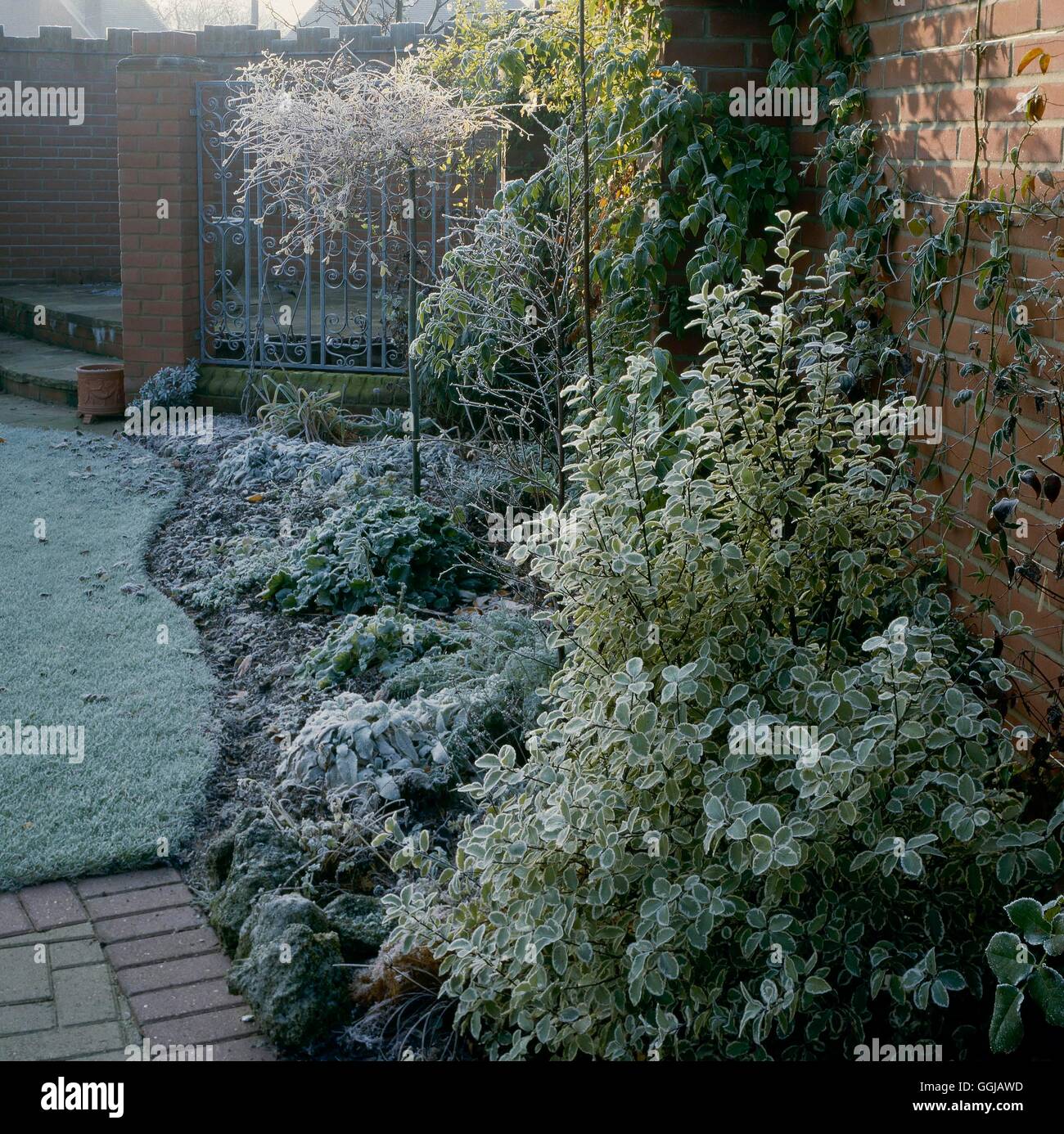 Gärten in den verschiedenen Jahreszeiten - Winter GSE040061 Stockfoto