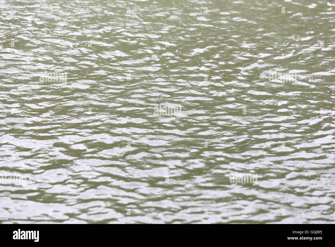 Oberfläche des Wassers und Welligkeit winken für Hintergrund-Natur-Design. Stockfoto