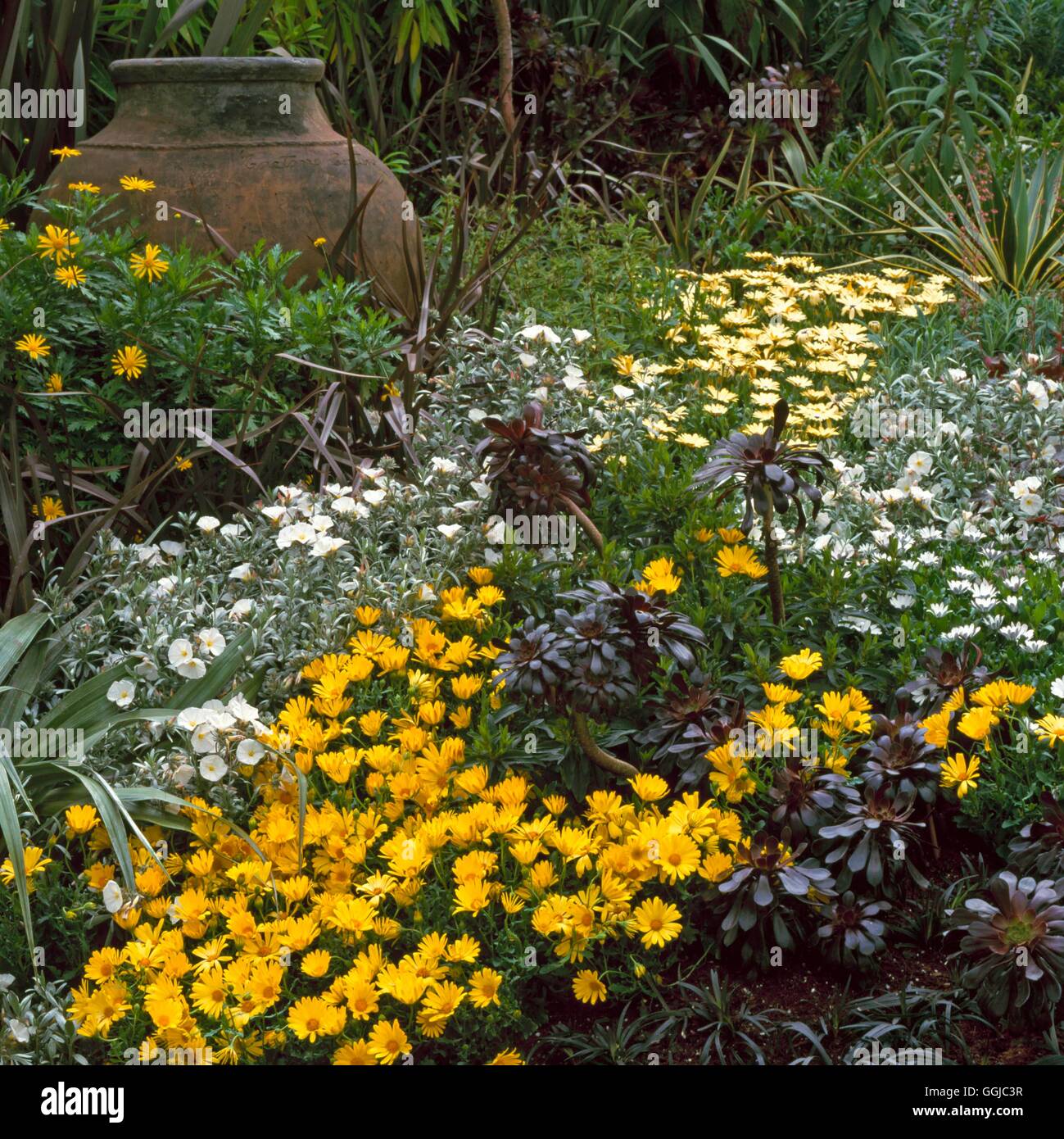 Garten im mediterranen Stil - (Info für Beschriftung/Kreditkarte: Chelsea FS 2001 The Shloer Garten Designer Judith Sharpe Sponsoren Shlo Stockfoto
