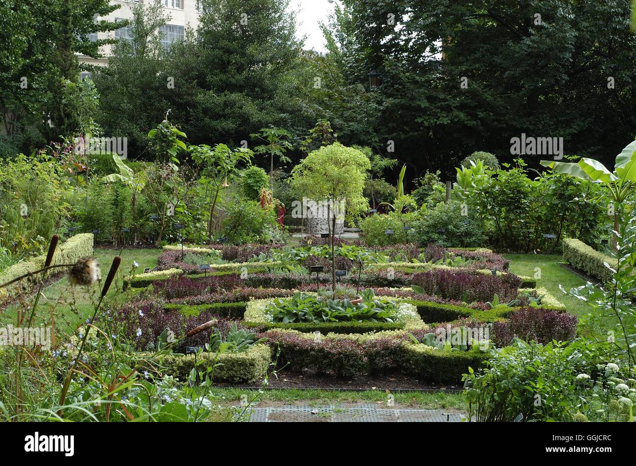 Brooklyn Botanic Garden-- Lebensmittel und Heilpflanze Bereich MIW250464 /Photos Stockfoto