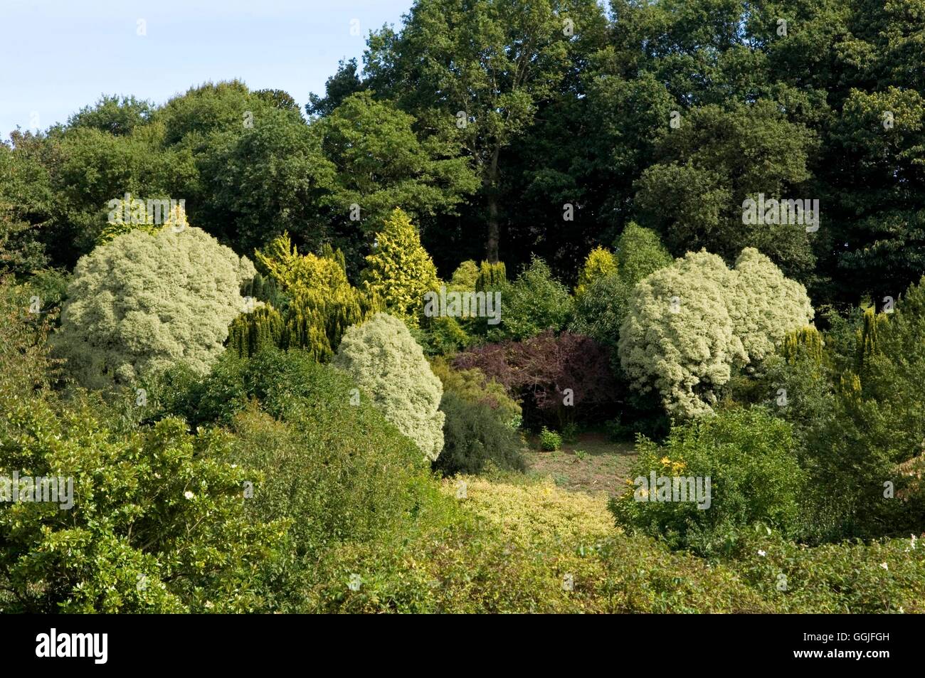 Gärten von Kerdalo Bretagne Frankreich MIW251950 Stockfoto