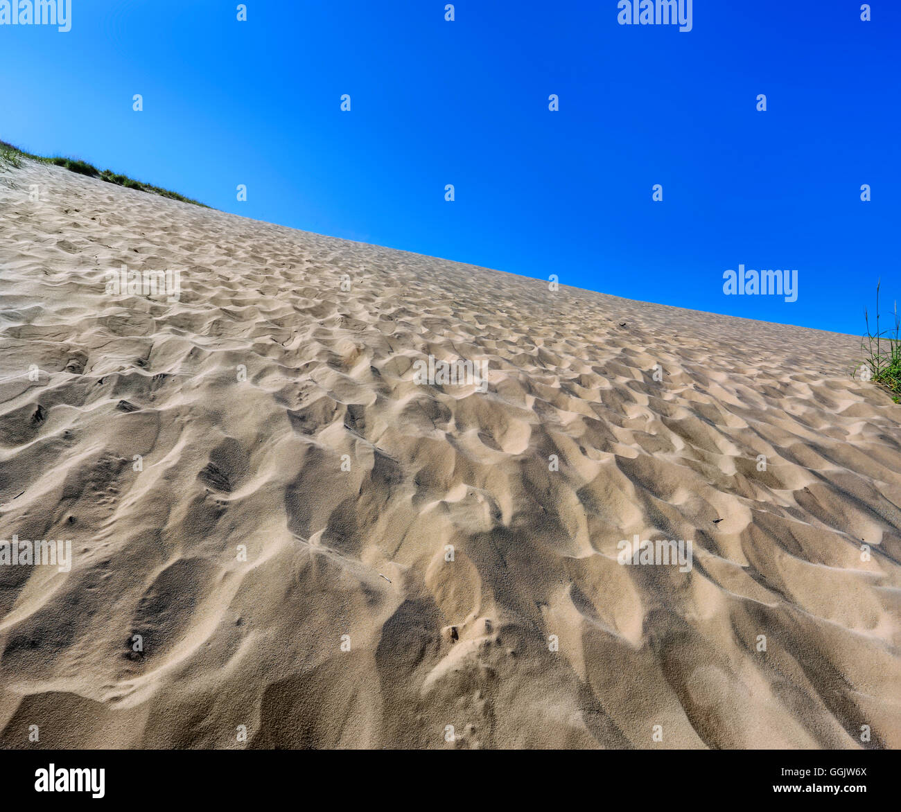 Eine Vielzahl von Spuren, bis zum Gipfel gehen sie Sleeping Bear Dunes National Lakeshore, Glen Arbor, Michigan, USA Stockfoto