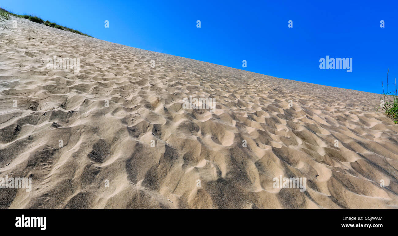 Eine Vielzahl von Spuren, bis zum Gipfel gehen sie Sleeping Bear Dunes National Lakeshore, Glen Arbor, Michigan, USA Stockfoto