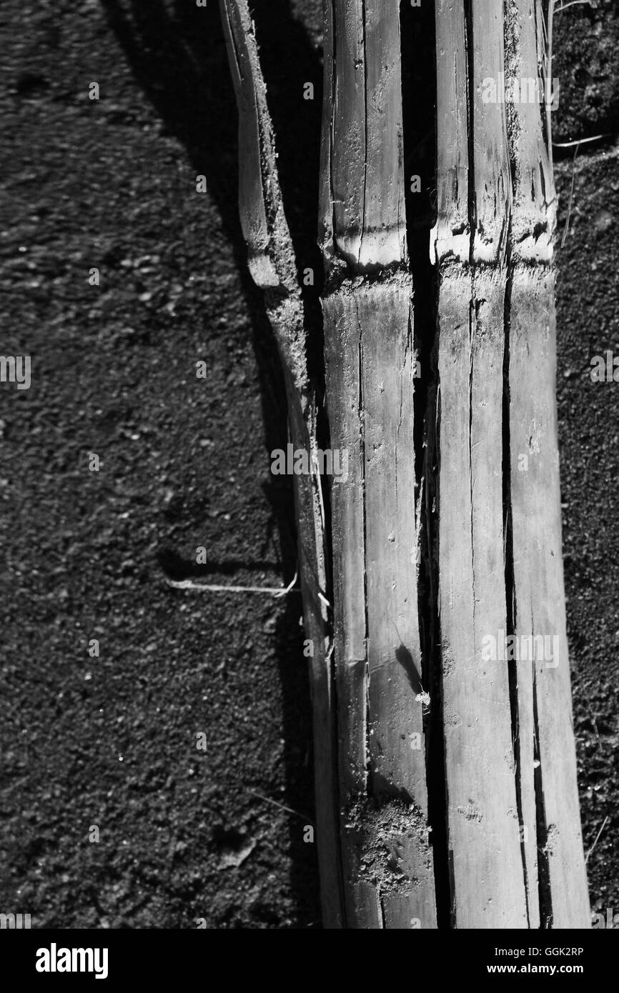 Stück Holz, Deutschland Stockfoto