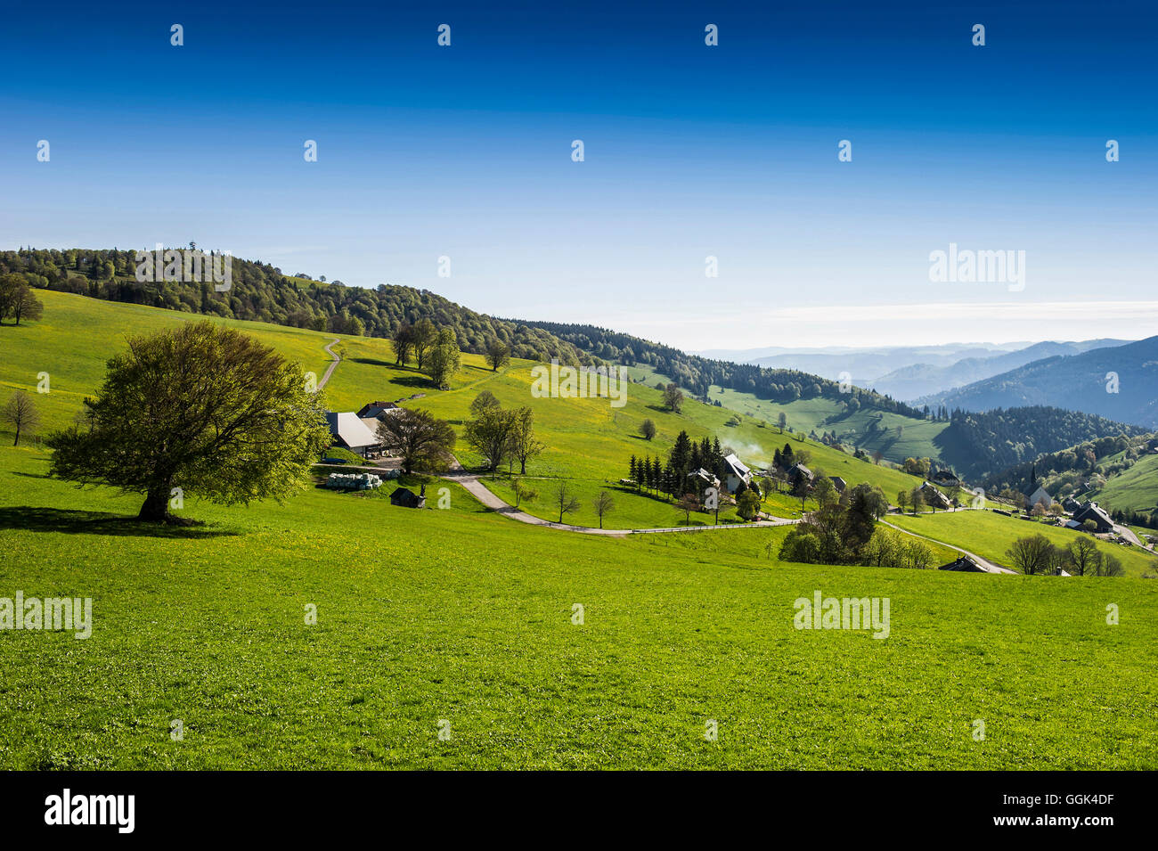 Schauinsland, Bauernhof in der Nähe von Oberried, in der Nähe von Freiburg Im Breisgau, Schwarzwald, Baden-Württemberg, Deutschland Stockfoto