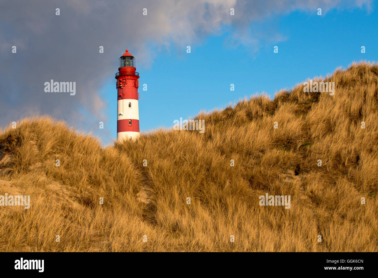 Amrum Leuchtturm hinter Dünen an einem sonnigen Wintertag, Insel Amrum, Schleswig-Holstein, Deutschland, Europa Stockfoto