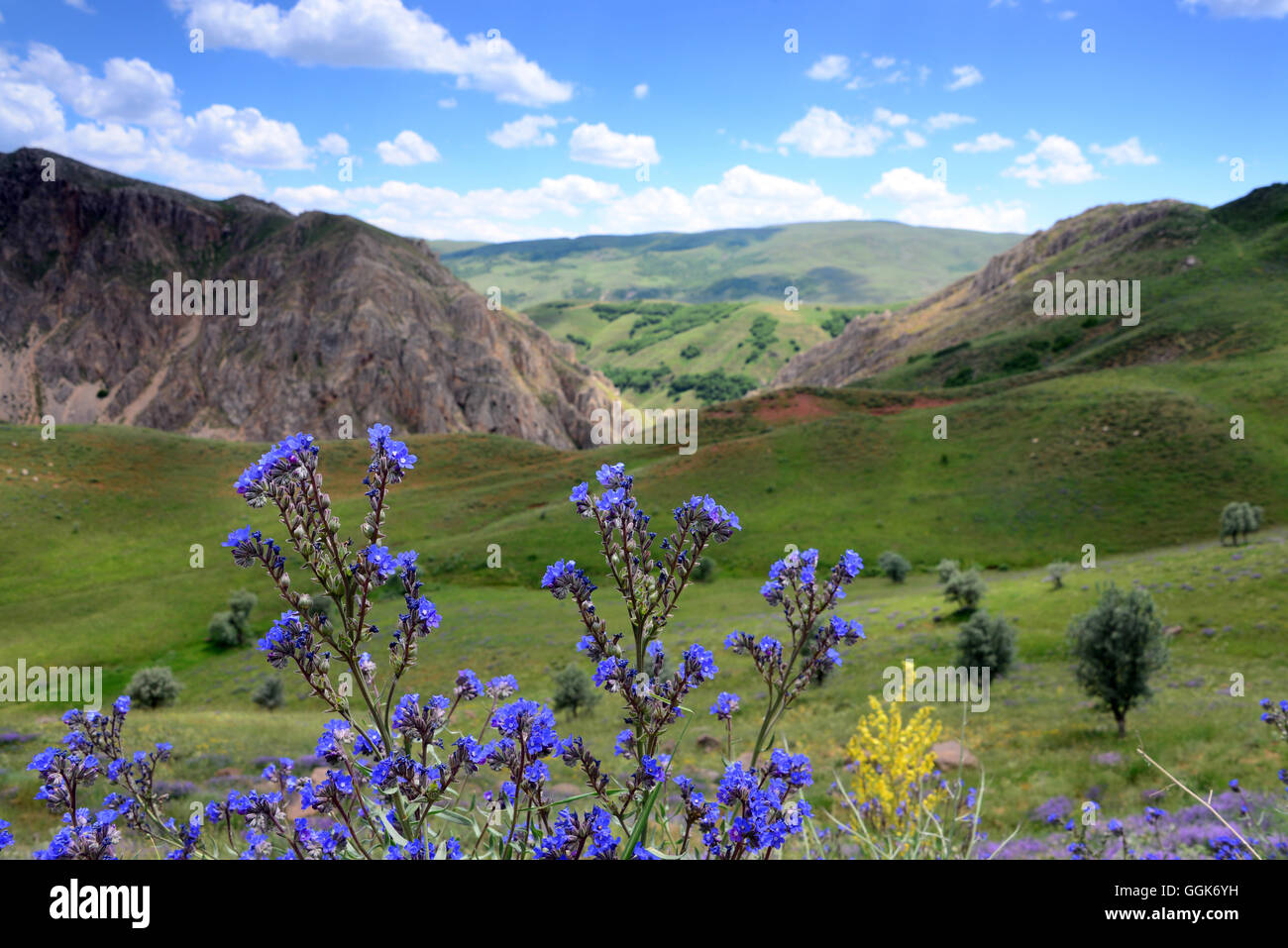 Landschaft südlich von Erzurum, Ostanatolien, Ost-Türkei, Türkei Stockfoto