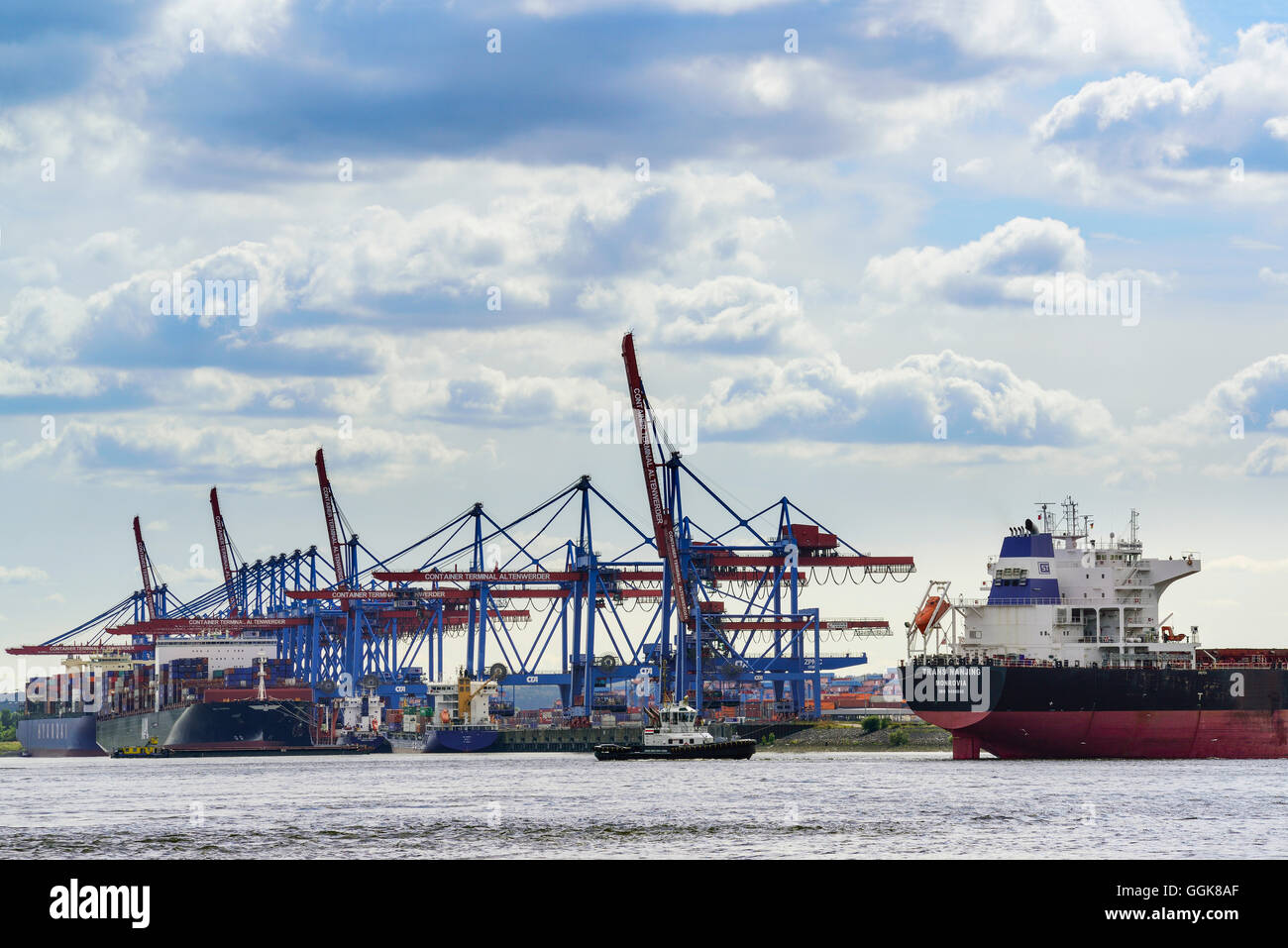 Containerschiffe am Containerterminal Altenwerder an der Elbe, Altenwerder, Hamburg, Deutschland Stockfoto