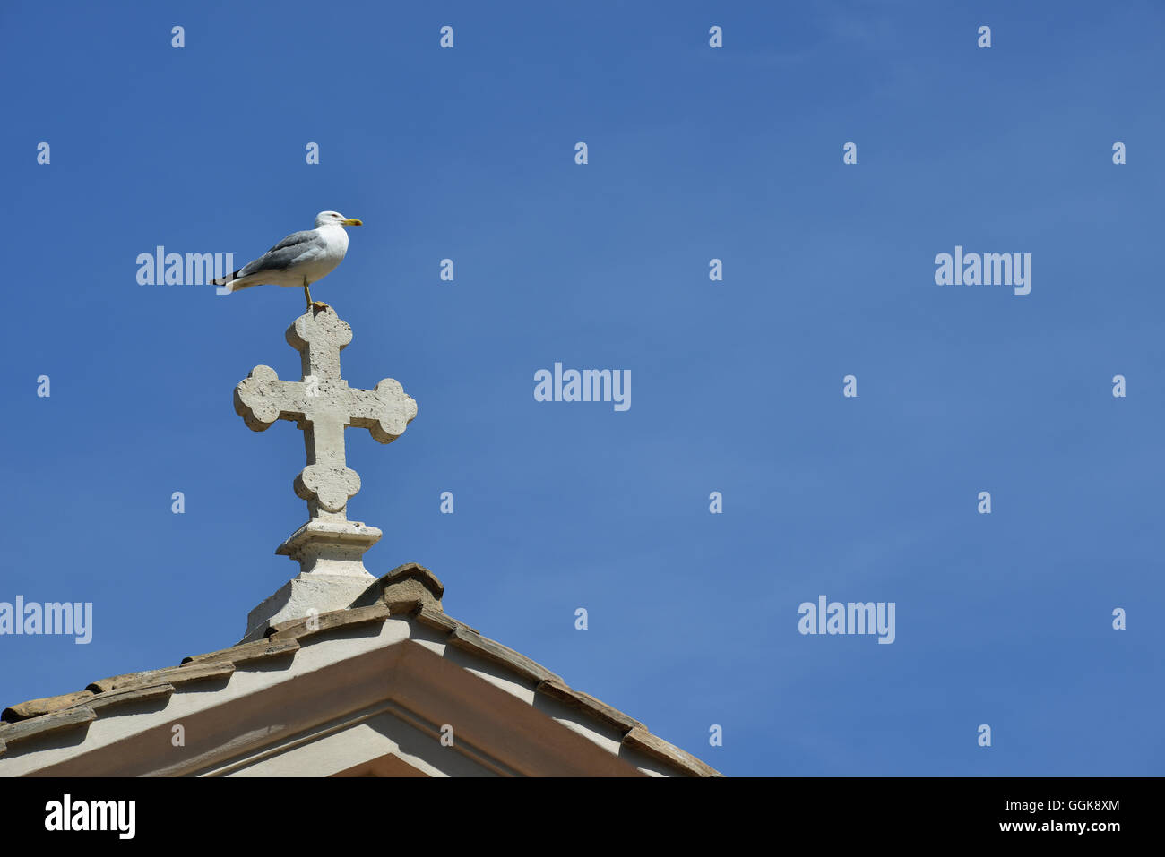 Einsame Möwe auf der Oberseite eine Murmel Kreuz in Rom Stockfoto