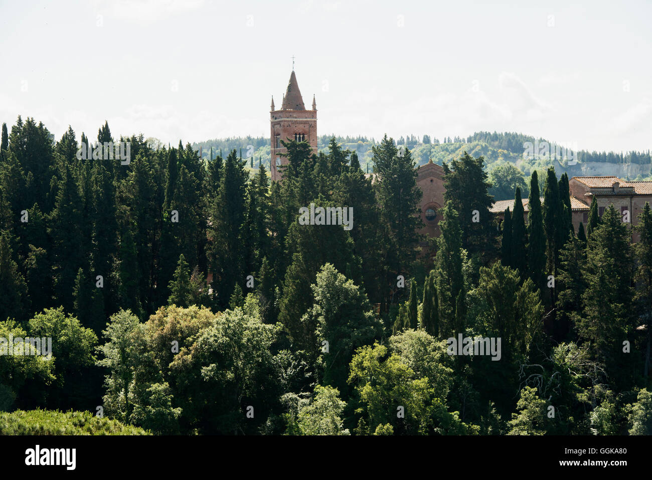 Abbazia di Monte Oliveto Maggiore, Crete Senesi, in der Nähe von Siena, Toskana, Italien Stockfoto