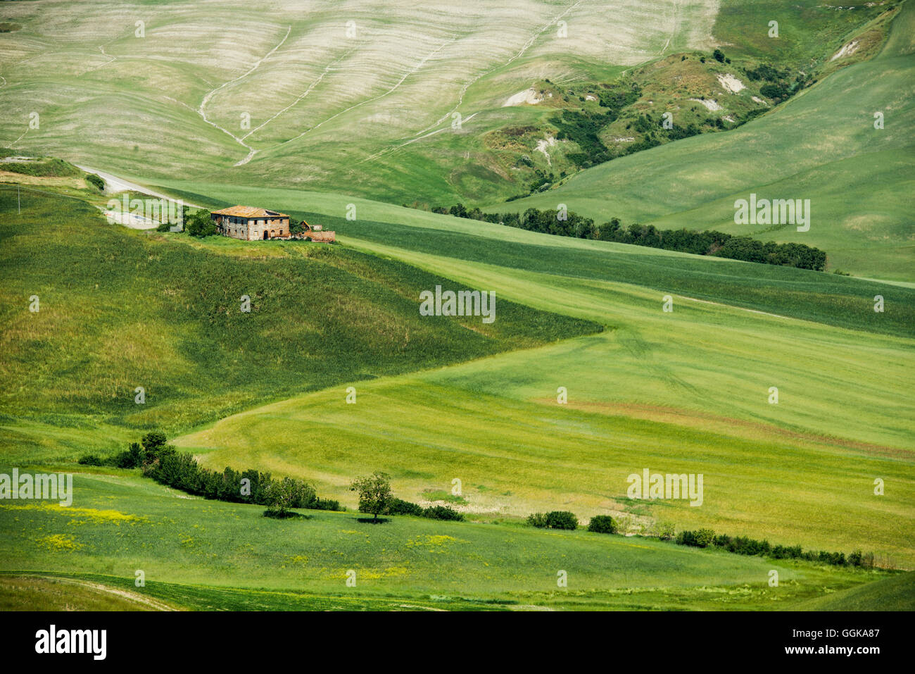 Landschaft bei Crete Senesi, in der Nähe von Siena, Toskana, Italien Stockfoto