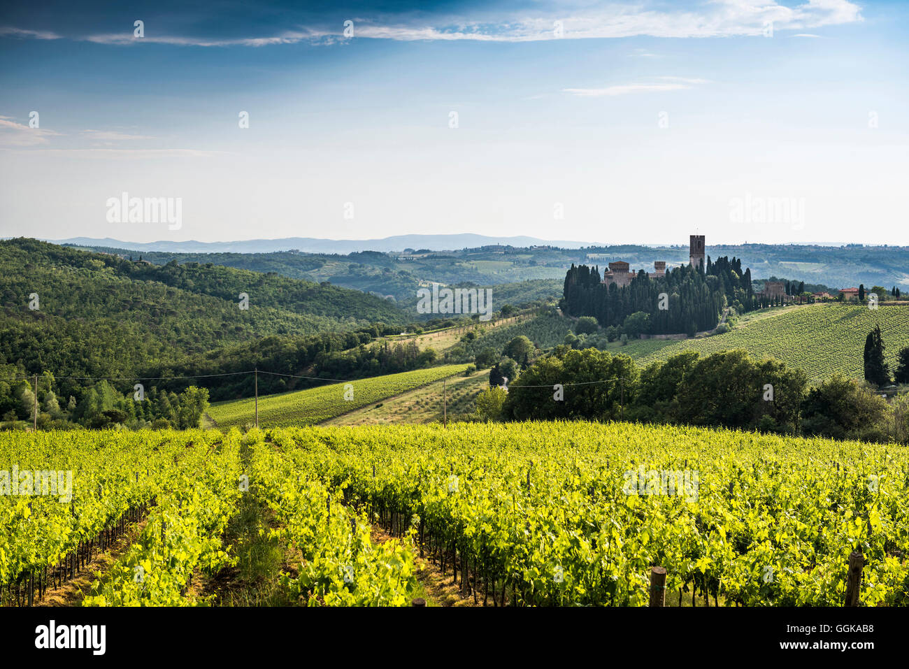 Badia di Passignano, in der Nähe von Greve in Chianti, Toskana, Italien Stockfoto