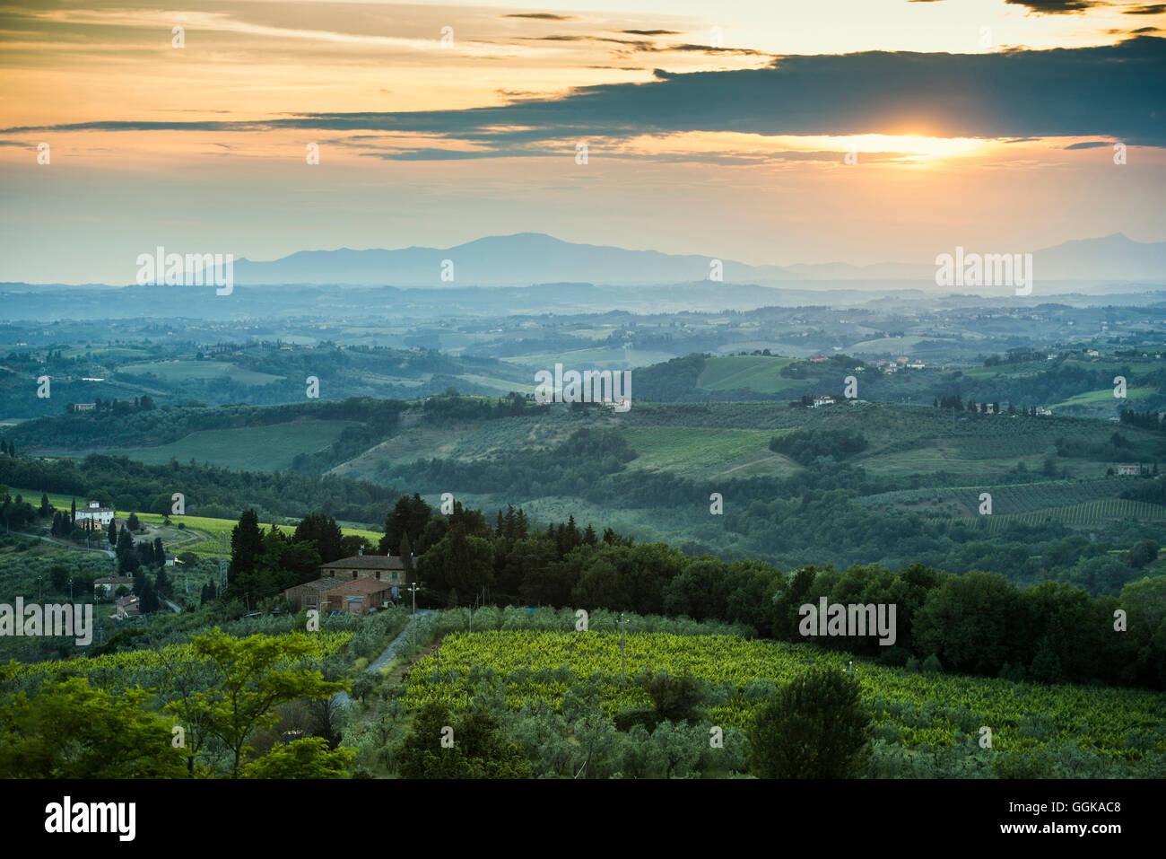 Landschaft in der Nähe von Tavarnelle Val di Pesa, Chianti, Toskana, Italien Stockfoto