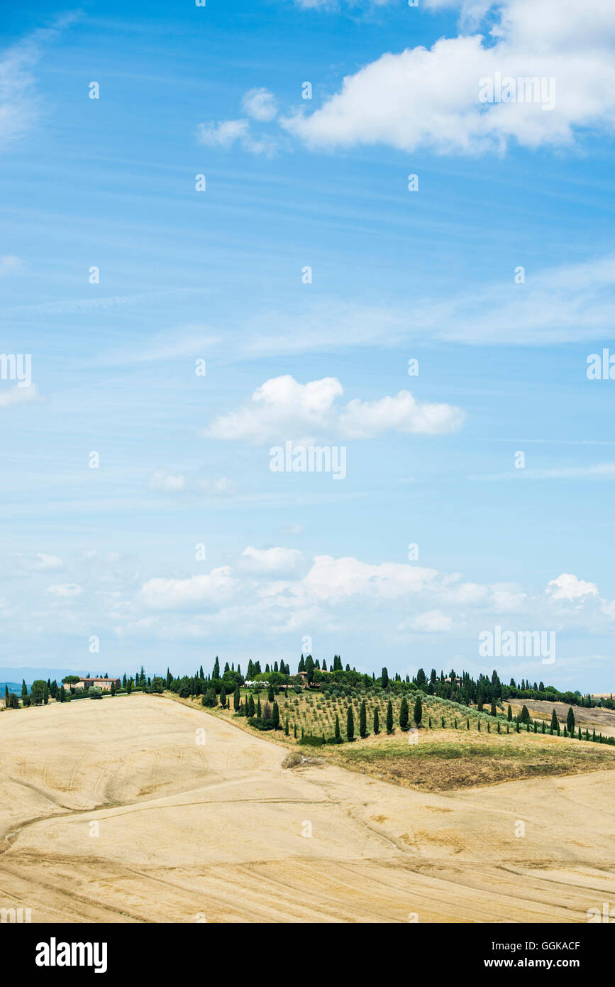 Crete Senesi, in der Nähe von Siena, Toskana, Italien Stockfoto