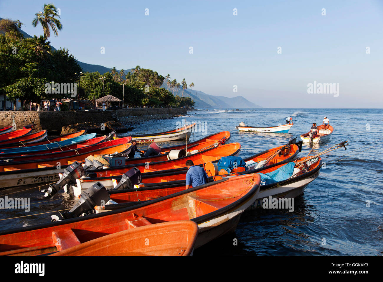 Fischer mit Booten, Puerto Columbia, Henri Pittier Nationalpark, Venezuela. Stockfoto