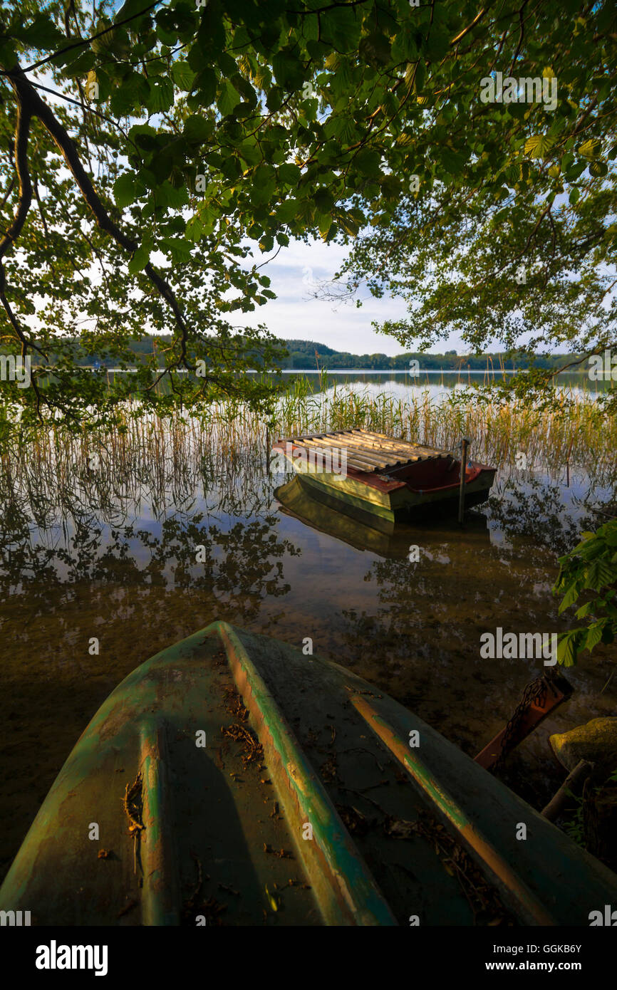 Breiter Luzin, Feldberger Seenlandschaft, Mecklenburgische Seenplatte, Mecklenburg-Vorpommern, Deutschland Stockfoto