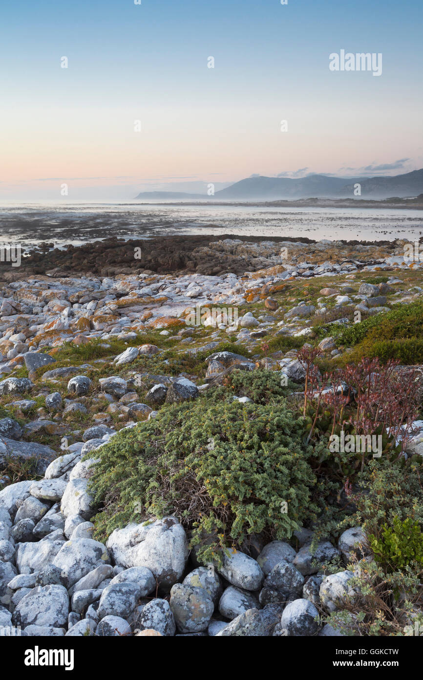 Cape Point, Tablemountain Nationalpark, Cape Town, Western Cape, Südafrika Stockfoto