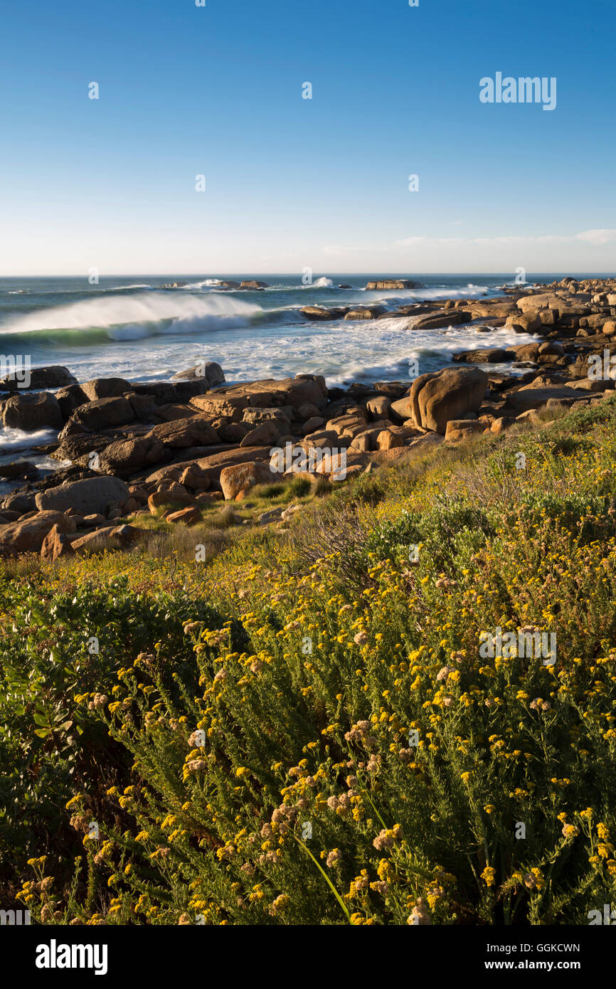 Sandy Bay, Atlantic Cape Town, Western Cape, Südafrika Stockfoto
