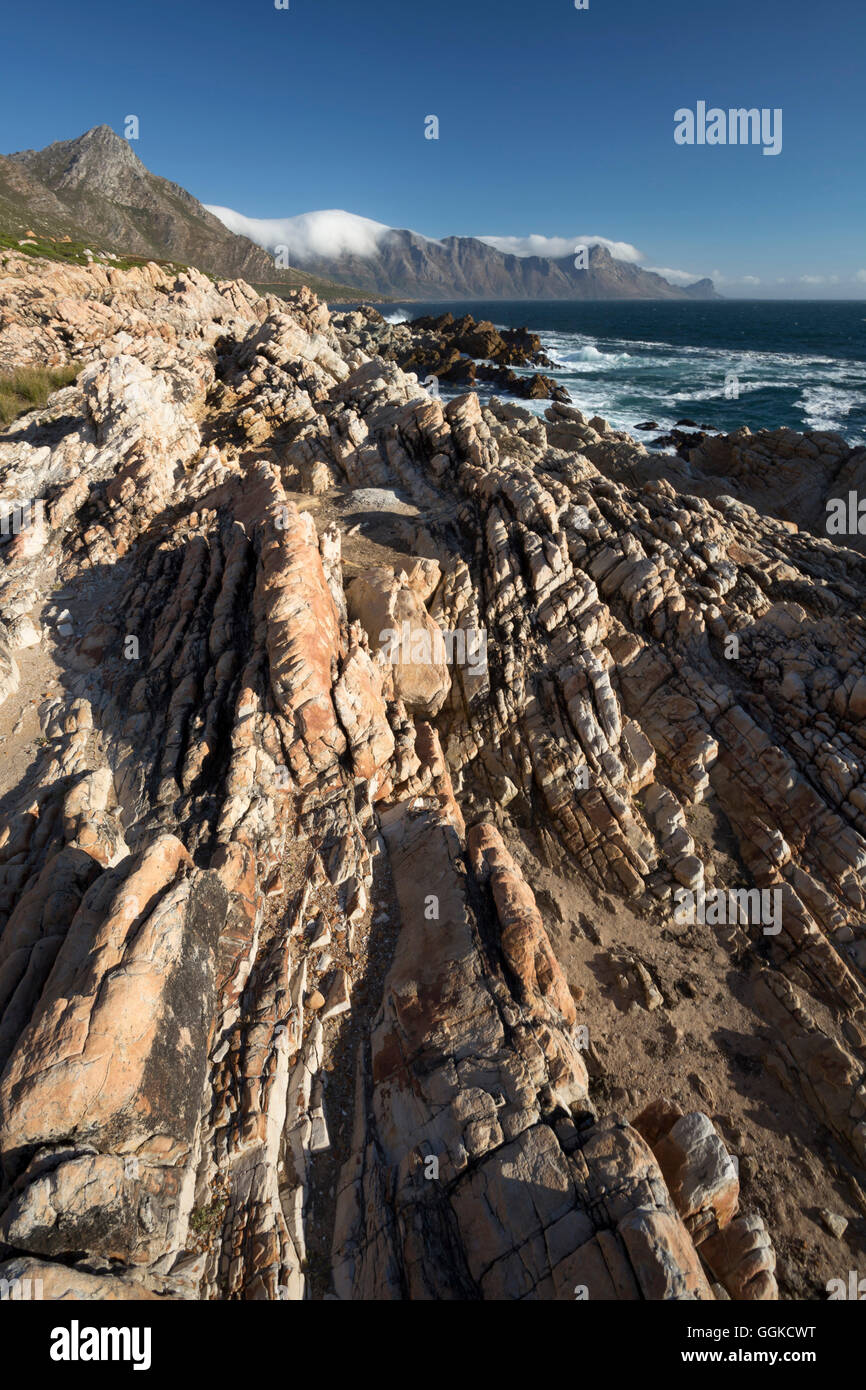 Felsenküste, False Bay, Cape Town, Western Cape, Südafrika Stockfoto