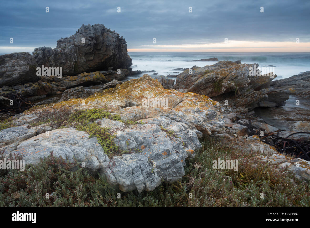 Felsenküste am Atlantik, Van Dyks Bay, Western Cape, Südafrika Stockfoto