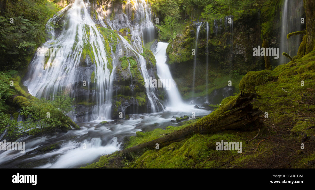 Panther Creek, Gifford Pinchot National Forest, Skamania County, Washington, USA Stockfoto