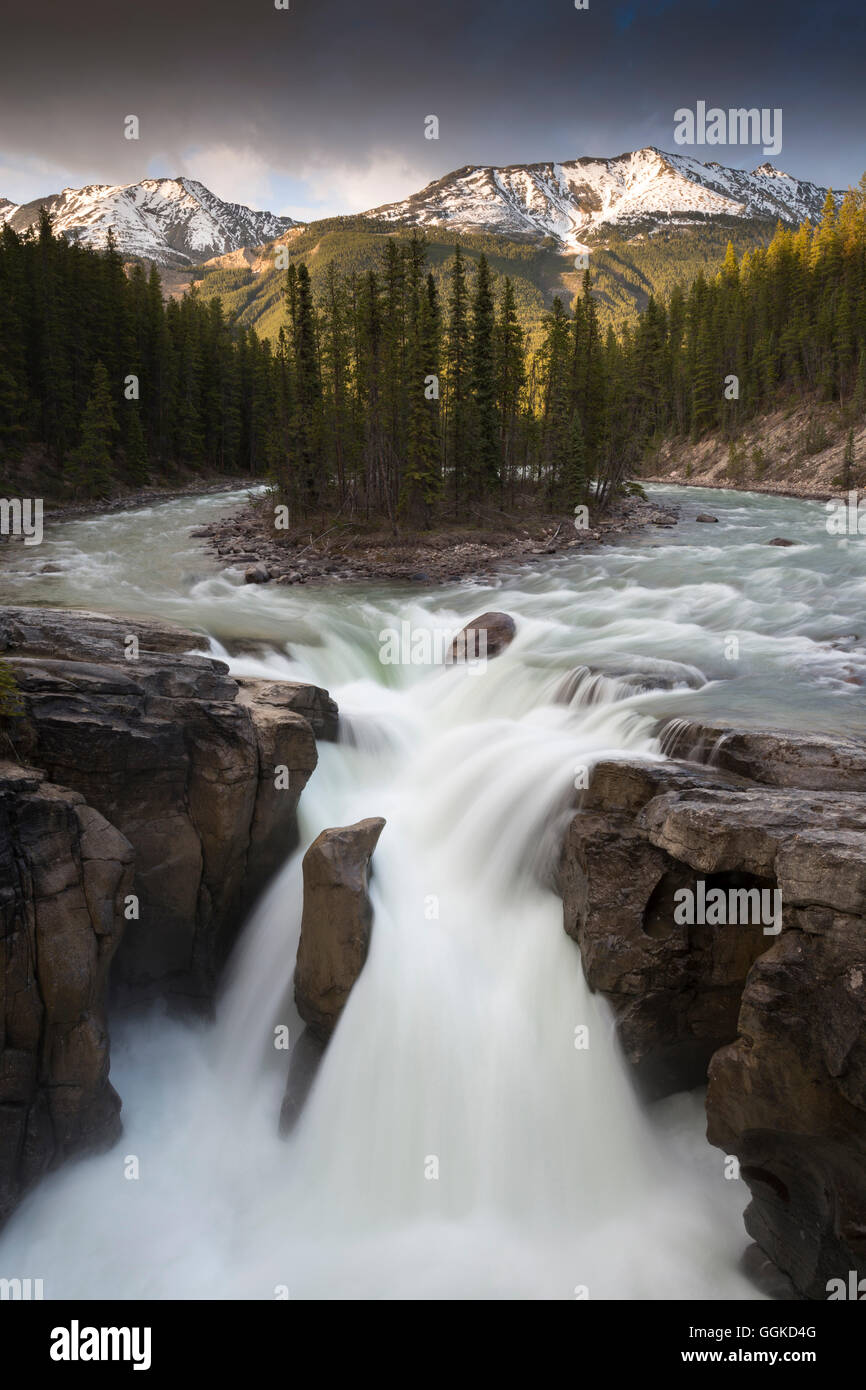 Sunwapta River, Jasper Nationalpark, Icefields Parkway, Alberta, Rocky Mountains, Kanada Stockfoto