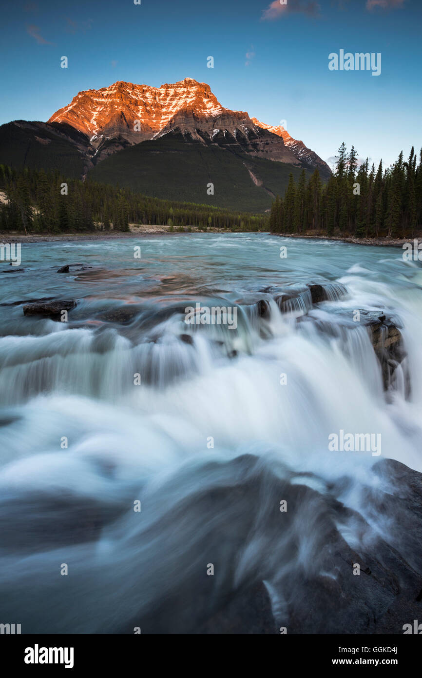 Athabasca Falls, Jasper-Nationalpark, Icefields Parkway, Alberta, Rocky Mountains, Kanada Stockfoto