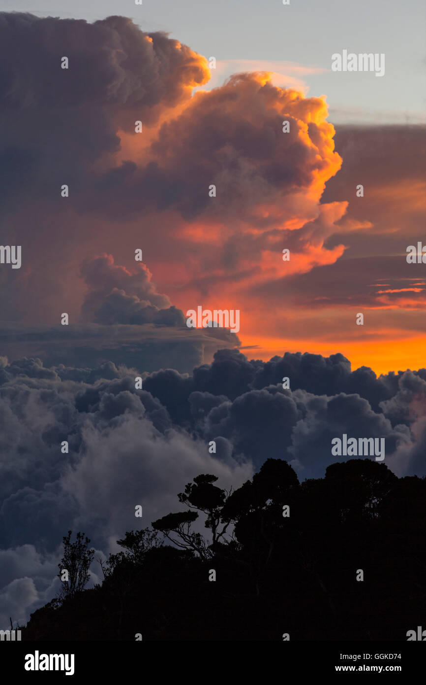 Gewitterwolken über Mount Kinabalu, Borneo, Malaysia. Stockfoto