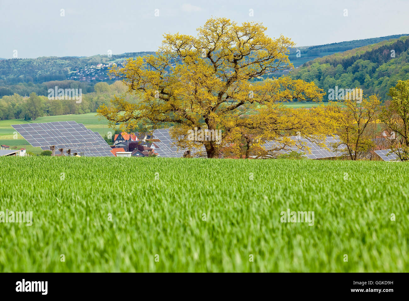 Solarpark im Herbst, Anraff, Edertal, Hessen, Deutschland, Europa Stockfoto