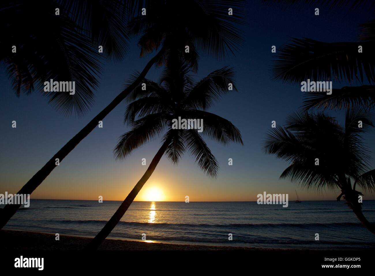 Silhouette von Palmen, Segelyacht und die untergehende Sonne, Isla Saona, La Altagracia, Dominikanische Republik Stockfoto