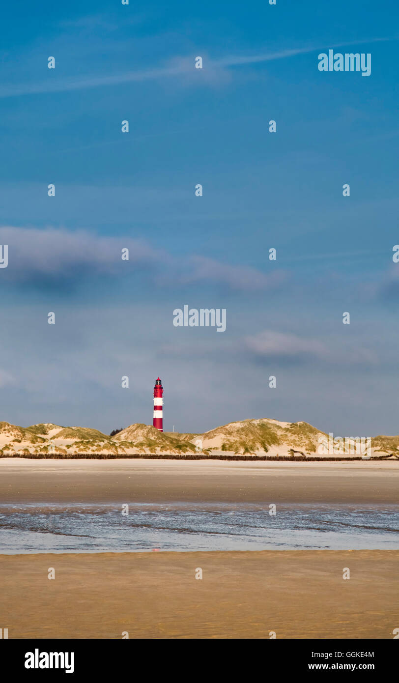 Leuchtturm, Strand und Dünen, Insel Amrum, Nordfriesischen Inseln, Schleswig-Holstein, Deutschland Stockfoto