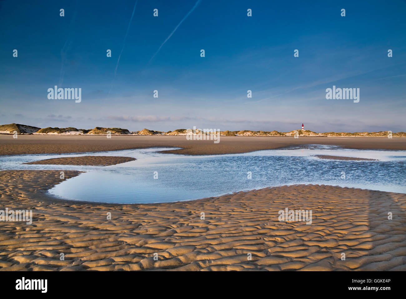 Leuchtturm, Strand und Dünen, Insel Amrum, Nordfriesischen Inseln, Schleswig-Holstein, Deutschland Stockfoto