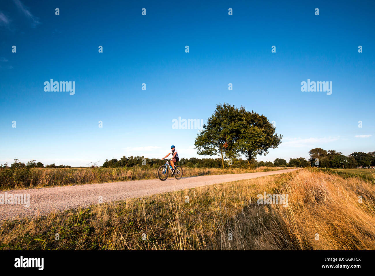 Radfahrer, Radfahren, vorbei an Feldern, Worpswede, Teufelsmoor, Niedersachsen, Deutschland Stockfoto