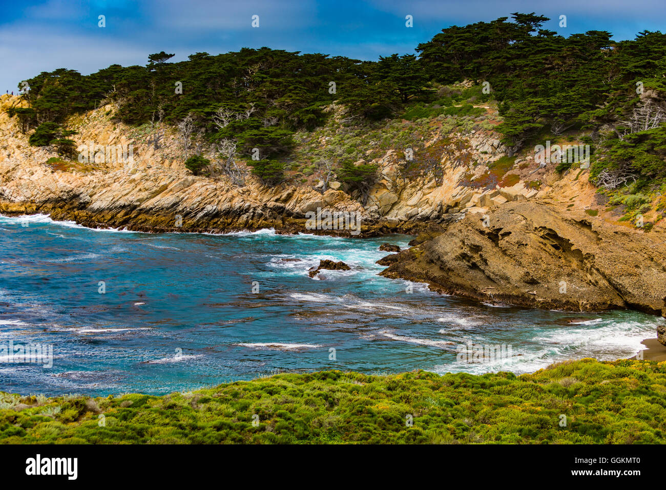 Kalifornien Landschaften Point Lobos State Reserve in der Nähe von Santa Cruz, Vereinigte Staaten Stockfoto