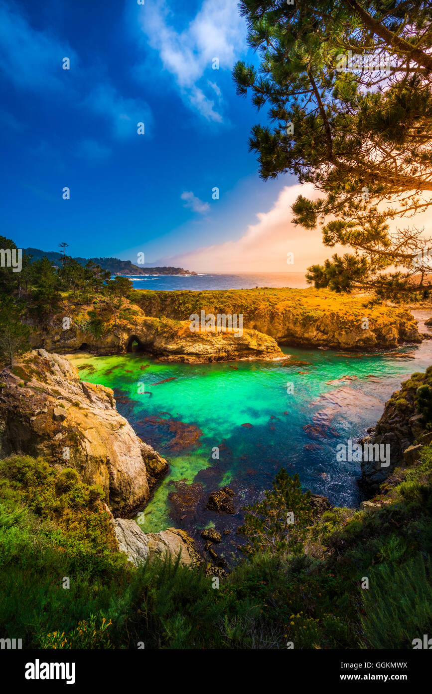 China Beach Point Lobos California State Reserve Stockfoto