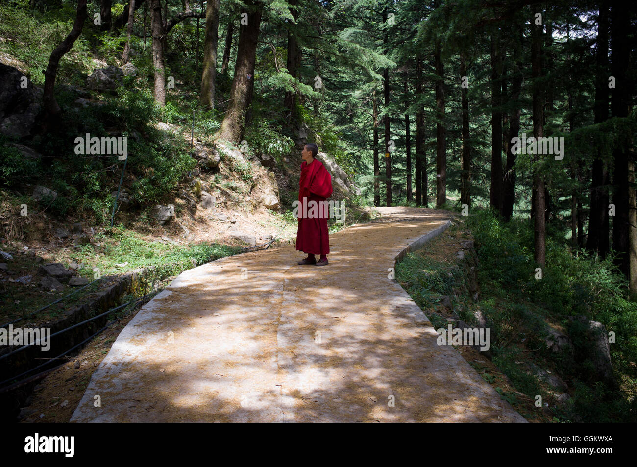 Buddhistischer Mönch Frau in Mcleod Ganj, Dharamsala, Himachal Pradesh, Indien. Jordi Boixareu © Stockfoto