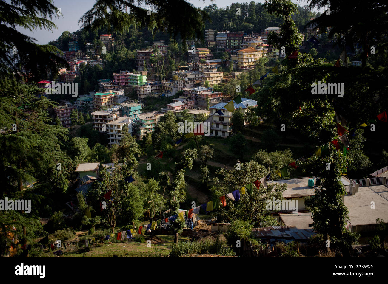 McLeod Ganj Dorf in Dharamsala Himachal Pradesh, Indien. Jordi Boixareu © Stockfoto