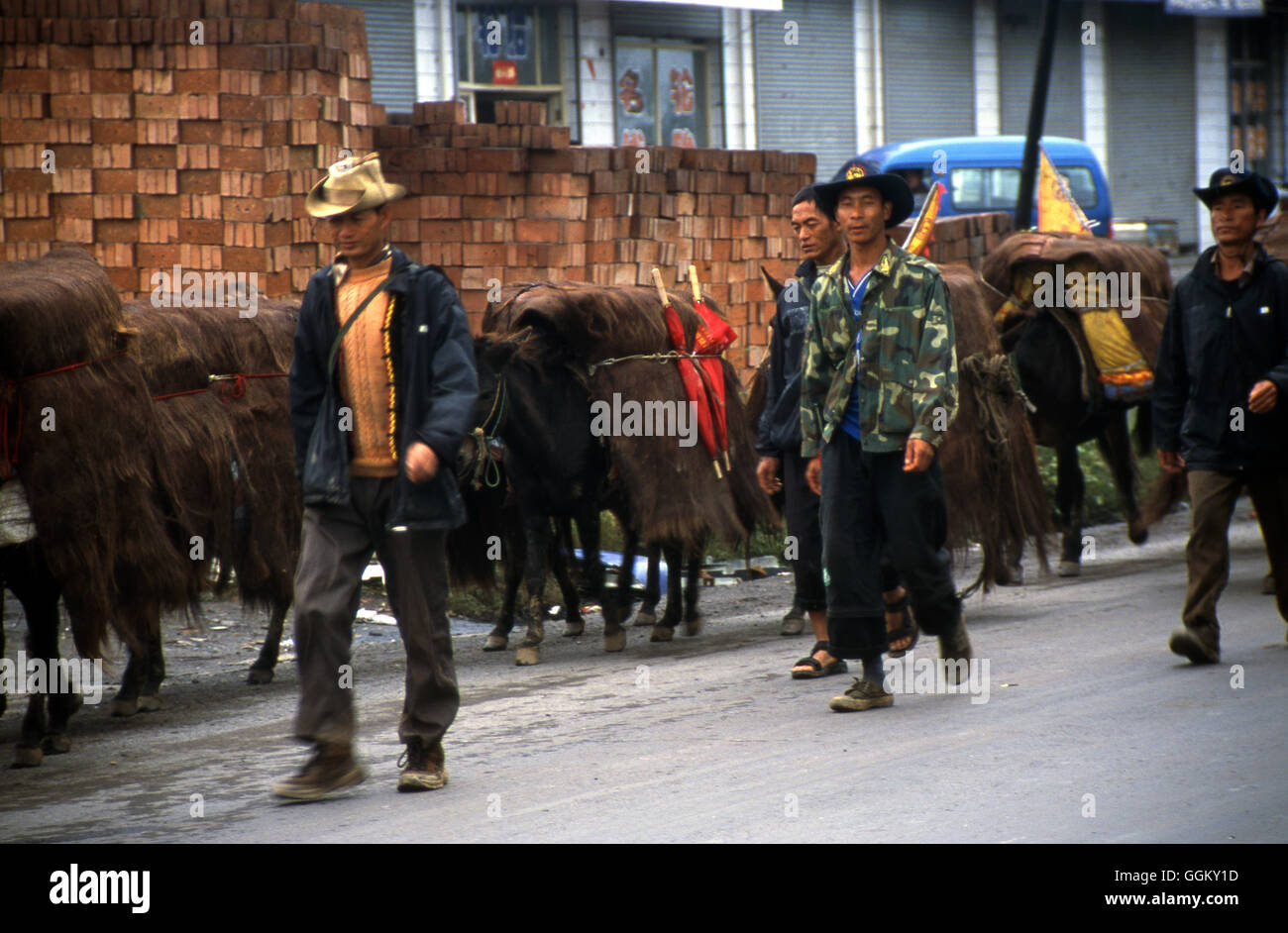 Tibetische Cowboys in einem Wohnwagen waren und Vieh auf den Markt über eine Langlauf-Wanderung bringen. Shanxi Provinz, China. Stockfoto
