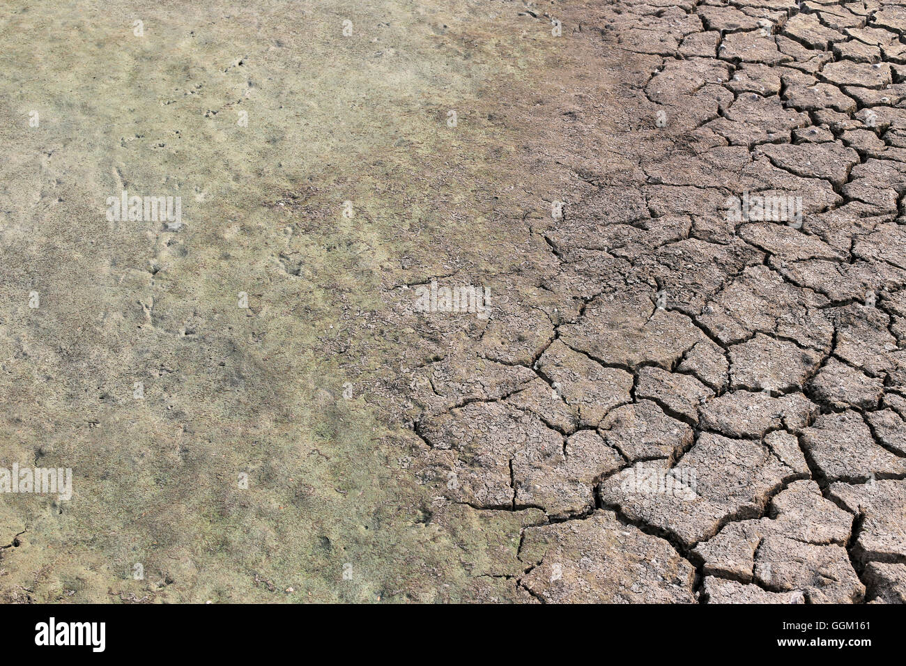 rissige Erde und Lehmboden mit Wasser nur wegen der Hitze, Landschaft Thailands vertrocknen. Stockfoto