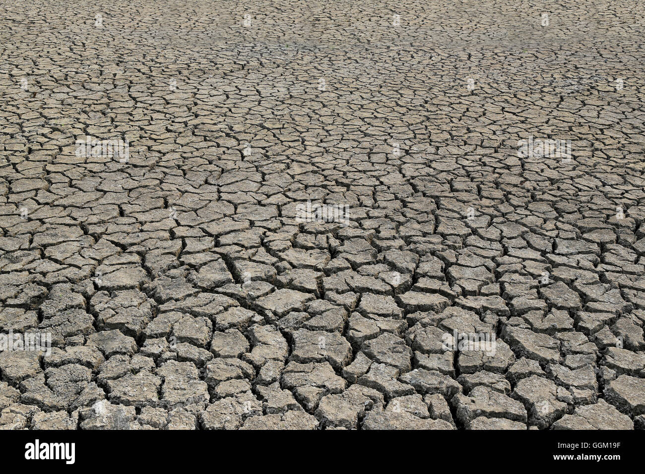 rissige Erde und Lehmboden mit Wasser nur wegen der Hitze, Landschaft Thailands vertrocknen. Stockfoto