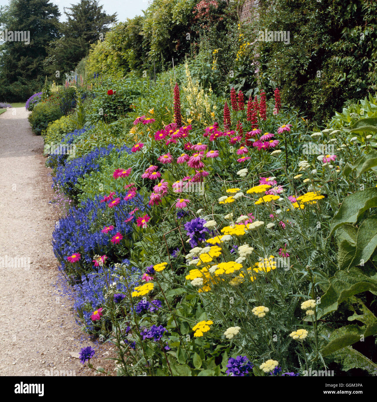 Mehrjährige Grenzübergang - Waterperry Oxford PGN024167 Stockfoto