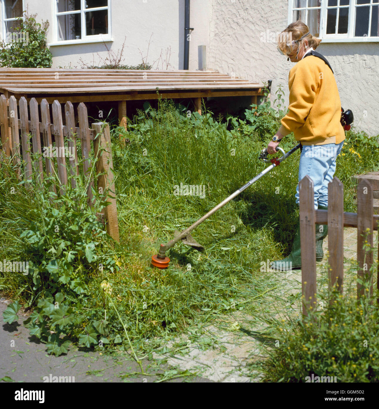 Strimming TAS035262 Stockfoto