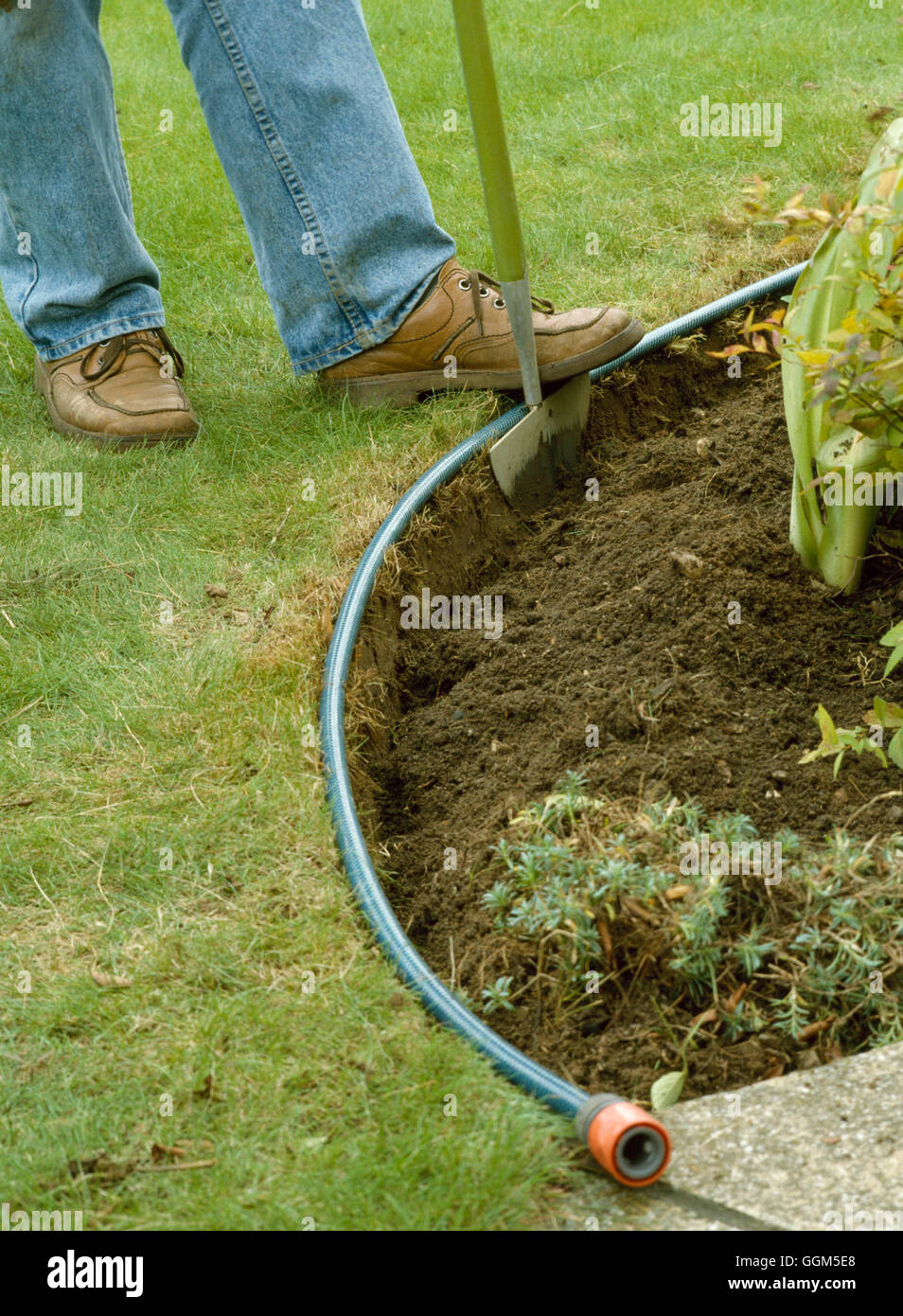 Rasenpflege: - Einfassung Rasen mit Gartenschlauch als Wegweiser zur sanfte Kurven geben.   TAS038428 Fotos Stockfoto
