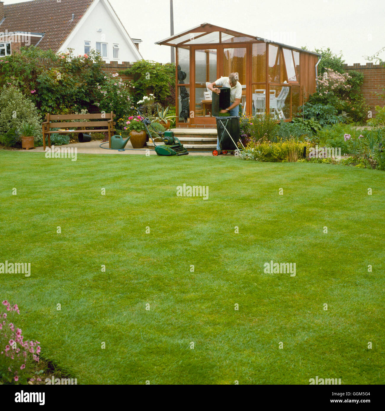 Rasenpflege - Grasschnitt TAS045221 einsammeln Stockfoto