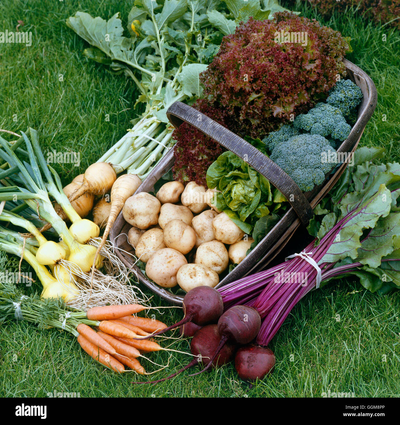 Gemüse-Sammlung - Rüben Salat Calabrese Kartoffeln, rote Beete Karotten & Zwiebeln VCO020278 obligatorische Credi Stockfoto